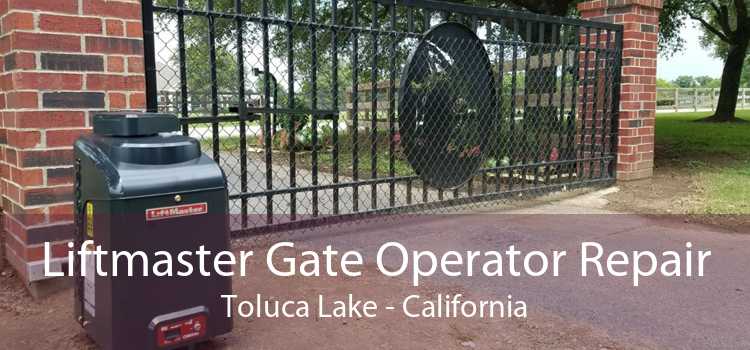 Liftmaster Gate Operator Repair Toluca Lake - California